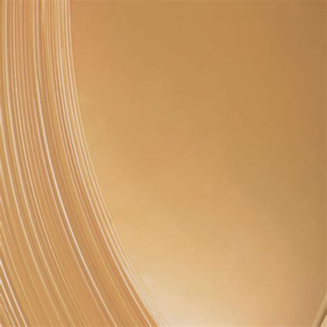 Reveal The Real 24 • 170O Light