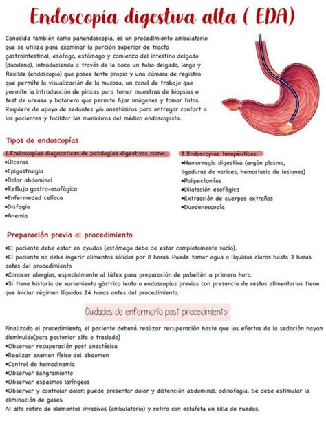 Endoscopía Digestiva Alta EDA Carolaine Leyton uDocz