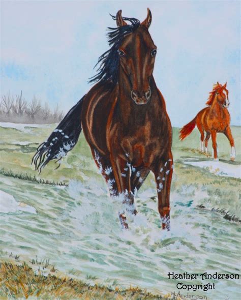 8x10 Print Morgan Horse Art Print Spring Etsy