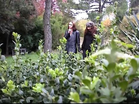 Natalie K Porn Videos Porn Star Sex Scenes Xhamster