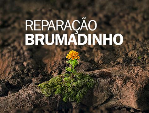 Repara O Brumadinho Anos Programa De Transfer Ncia De Renda