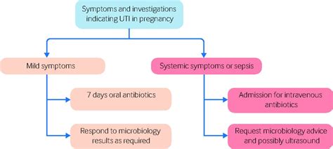 A Likely Urinary Tract Infection In A Pregnant Woman The Bmj