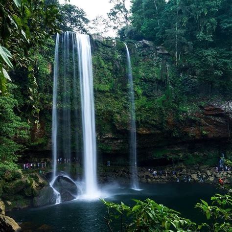 Salto De Agua Turismo Qué Visitar En Salto De Agua Chiapas 2024 Viaja Con Expedia