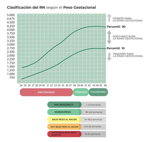 Clasificaci N Del Rn Facilitar El Diagn Stico Y Prevenir Complicaciones