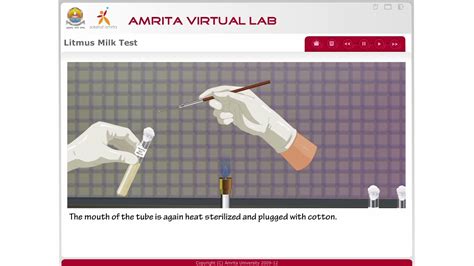 Litmus Milk Test Youtube