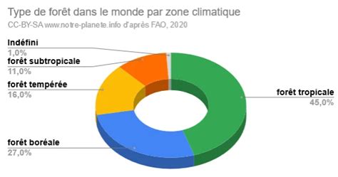 La D Forestation D Finition Donn Es Causes Et Cons Quences M Dias