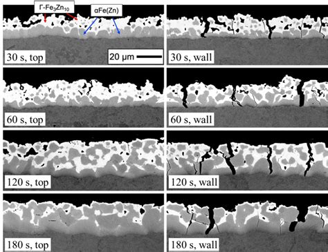 Coating Microstructures Versus Austenization Time From The Top Region Download Scientific