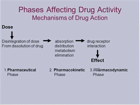 4 Biopharmaceutics And Pharmacokinetics PDF Notes Diagram Quizlet