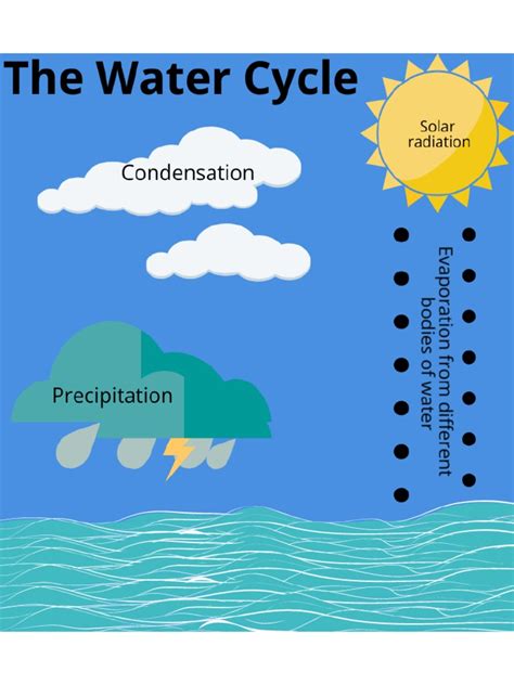 Water-Cycle 60825493 | PDF