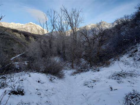 Courage at Twilight: Keeping Time | Rabbit Lane