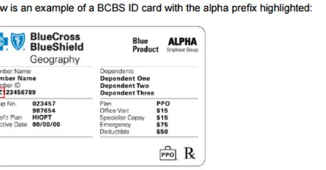 Medical Billing And Coding Procedure Code Icd Code Bcbs Alpha