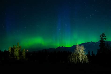 Aurora Borealis Lights in the Sky · Free Stock Photo