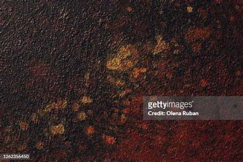 47 Patchy Texture Stock Photos High Res Pictures And Images Getty