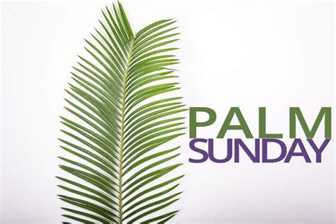 Palm Sunday Worship Virtual Church For April 5 2020 St John S Umc Texas City