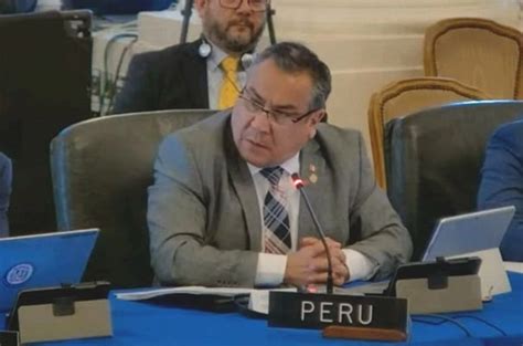 Gustavo Adrianz N Representante Del Per Ante Oea Comunicado De Cidh