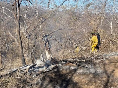 Hect Reas Han Sido Afectadas Por Incendios En Mazatl N Pc