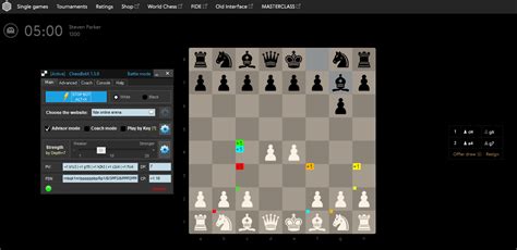 ChessBot Blog - How to use bot on FIDE ONLINE ARENA