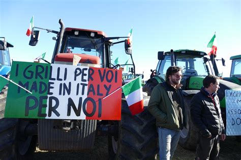 Trattori Nuova Protesta A Bologna Cosa Chiedono Gli Agricoltori