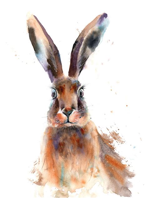 Watercolor Rabbit Painting By Paintis Passion