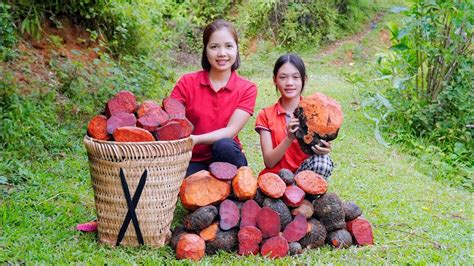 Harvest Purple Tubers Goes To The Market Sell Hanna Daily Life Youtube