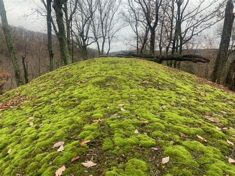 International Mountain Day Sunset Hike at Radnor Lake - Friends of ...