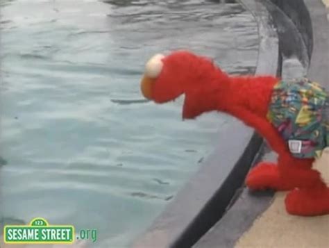 Sesame Street Elmo And Whale Love Coub The Biggest Video Meme