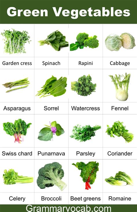 50 Green Leafy Vegetables Names in English with Pictures - GrammarVocab ...