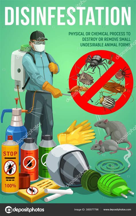 Disinfestation Service Pest Control Deratization Insects Sanitary Disinfection Vector Poster