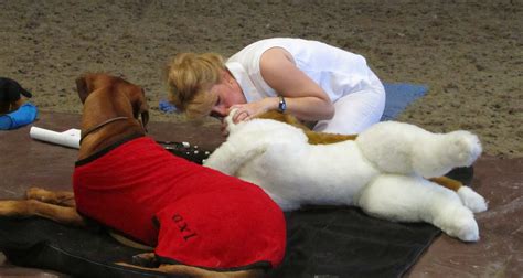 Canine Tip of the Day: CPR – Rhodes 2 Safety