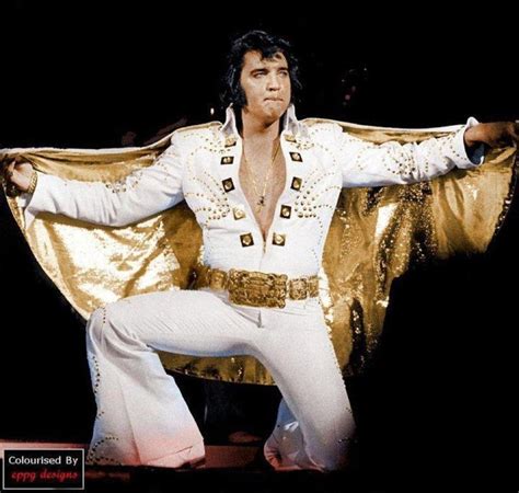 The Cape Elvis Presley Elvis Jumpsuits Elvis Presley Concerts