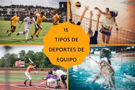 15 Tipos De Deportes De Equipo Conoce Cuáles Son Sus Características