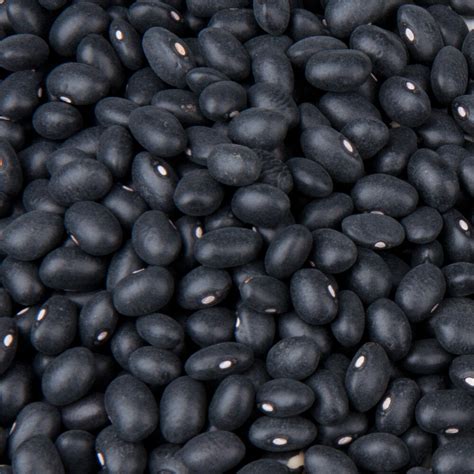 Dried Black Beans - 20 lb.