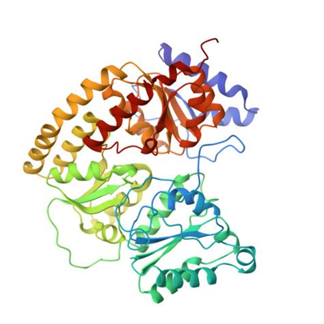 RCSB PDB 1QH1 NITROGENASE MOFE PROTEIN FROM KLEBSIELLA PNEUMONIAE