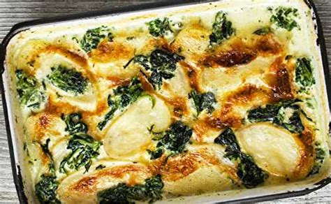 Gratin Léger aux Épinards de Plat et Recette et ses recettes de