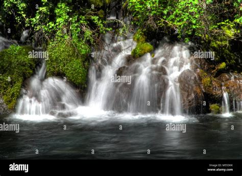 Cold Springs Pour Into The Metolius River Near Wizard Falls Stock Photo