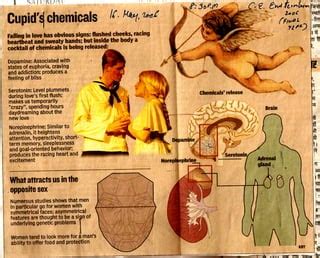 What Attract Us In The Opposite Sex Ppt