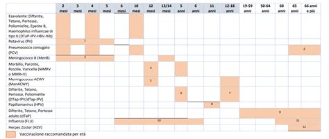 Piano Nazionale Di Prevenzione Vaccinale Ospedale