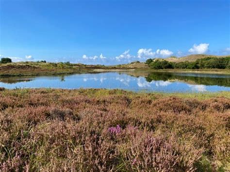 Wandeling De Roetroute In De Schoorlse Duinen Is Het Nog Ver