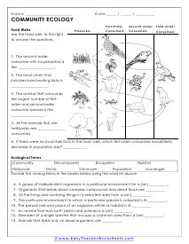 Ecology Worksheets