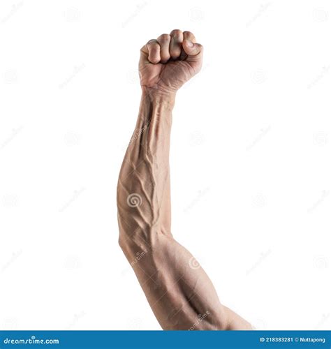 Strong Arm and Hand Veins on White Background Stock Image - Image of ...