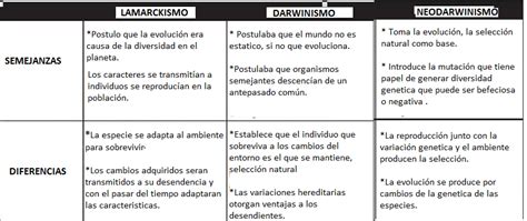 Cuadros Comparativos Y Sinópticos De Las Teorías Evolutivas Cuadro