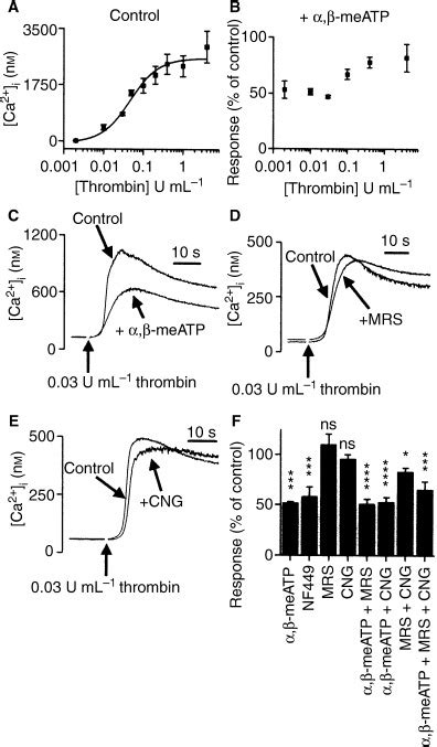 Primary And Secondary Agonists Can Use P2x1 Receptors As A Major