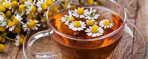 10 Manfaat Teh Chamomile Bagi Kesehatan Tubuh Hello Sehat