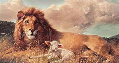 The Lion And The Sheep