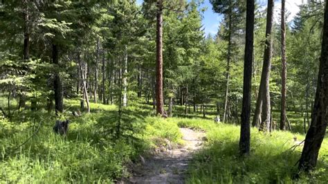 New Community Trail System Near Bigfork Under Construction