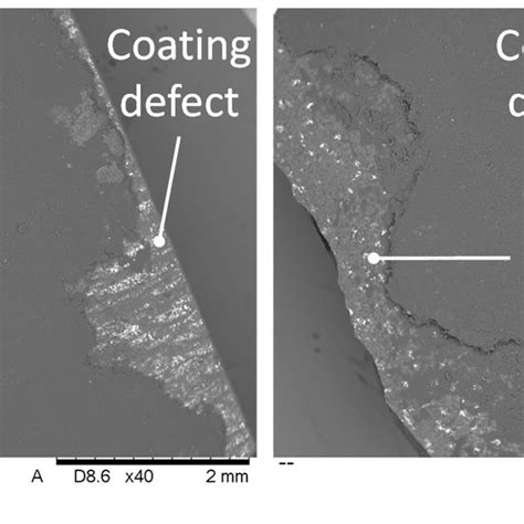 SEM images detailing the edge of the sample of Test A: (a) undeposited ...