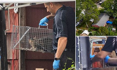 Gilgo Beach Murders Suspects Cat Is Removed From His Long Island Home