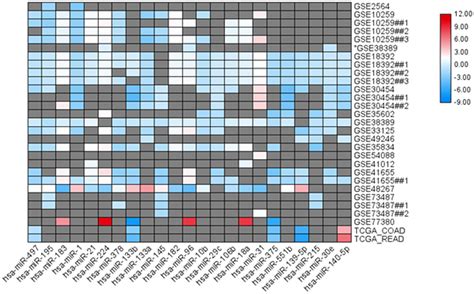 Most Iterated Significant Micrornas In The Colon And Colorectal Cancer