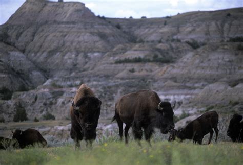 North Dakota Photo Gallery | Fodor’s Travel