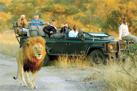 Ultimate Private Safari - Timbavati - Activities